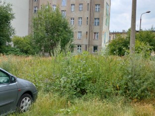 Działka, Katowice, Drzewna